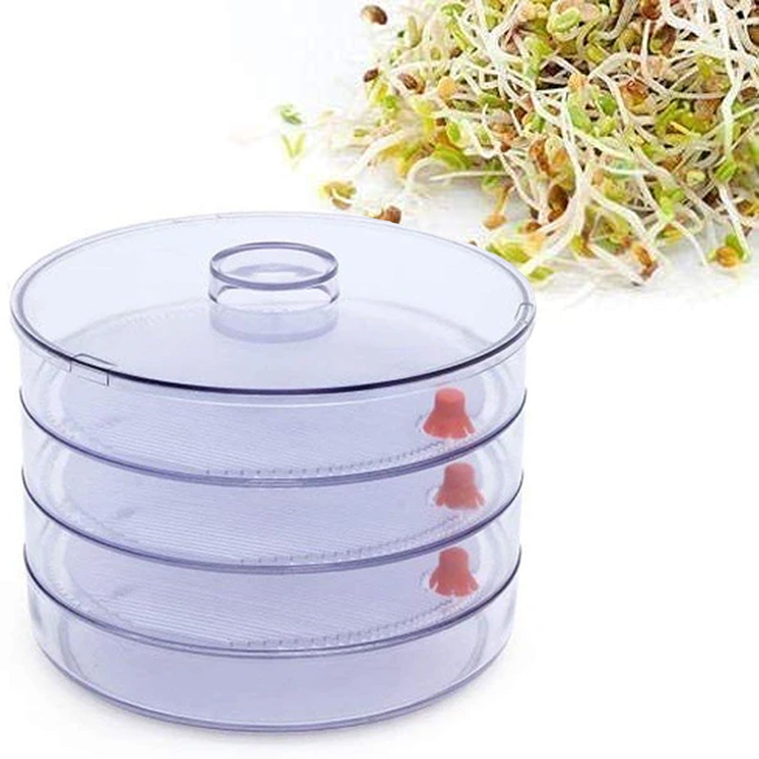 070 Plastic 4 Compartment Sprout Maker, White Homeworld company