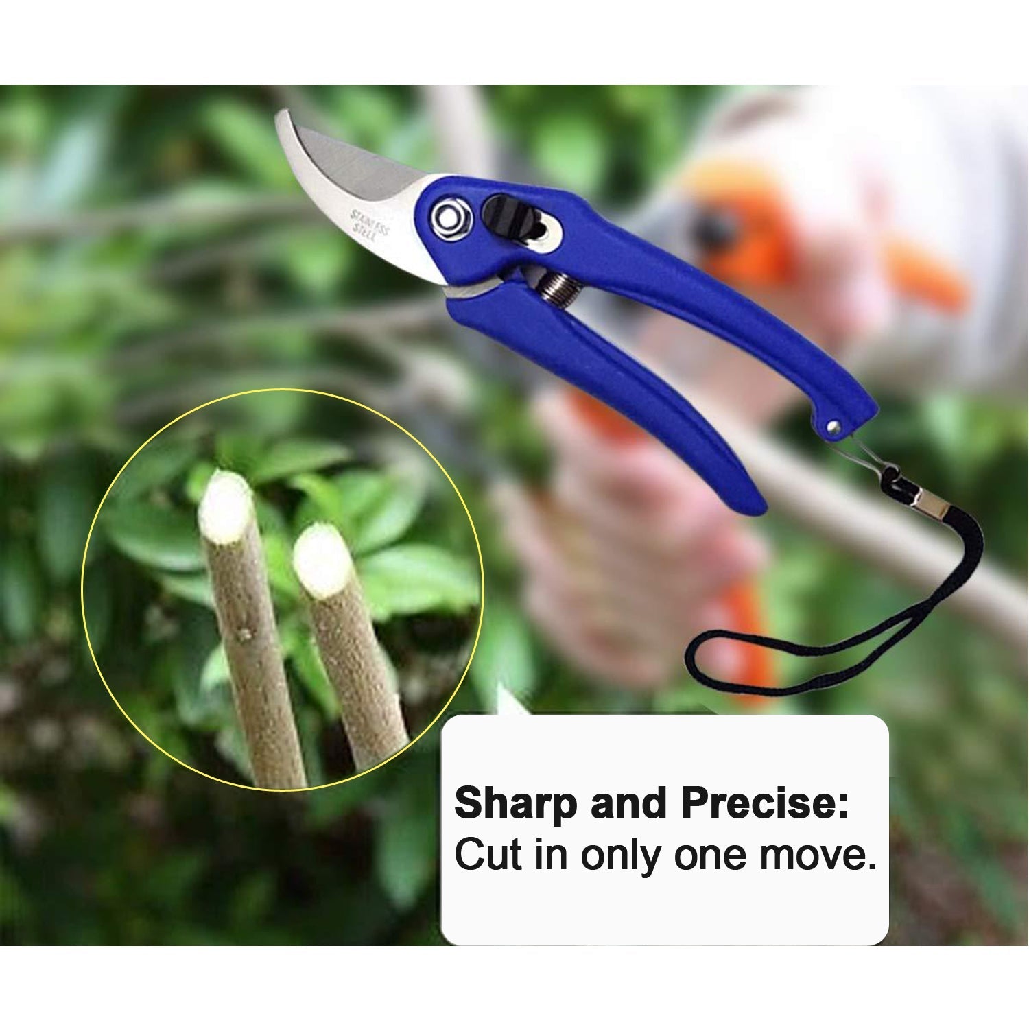 0465A Garden Shears Pruners Scissor for Cutting Branches, Flowers, Leaves, Pruning Seeds DeoDap