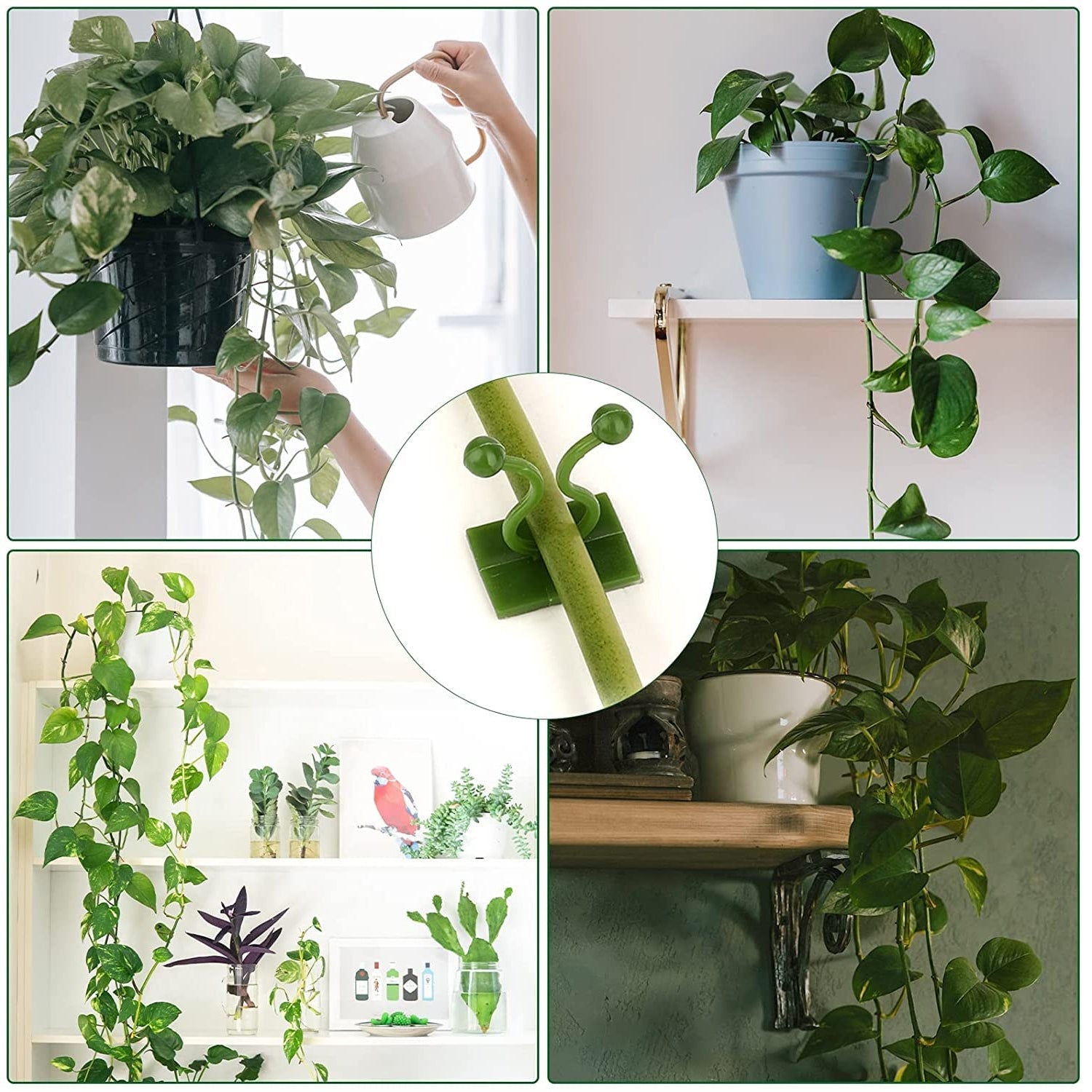 6156A 30pcs wall Plant Climbing Clip widely used for holding plants and poultry purposes and all. DeoDap