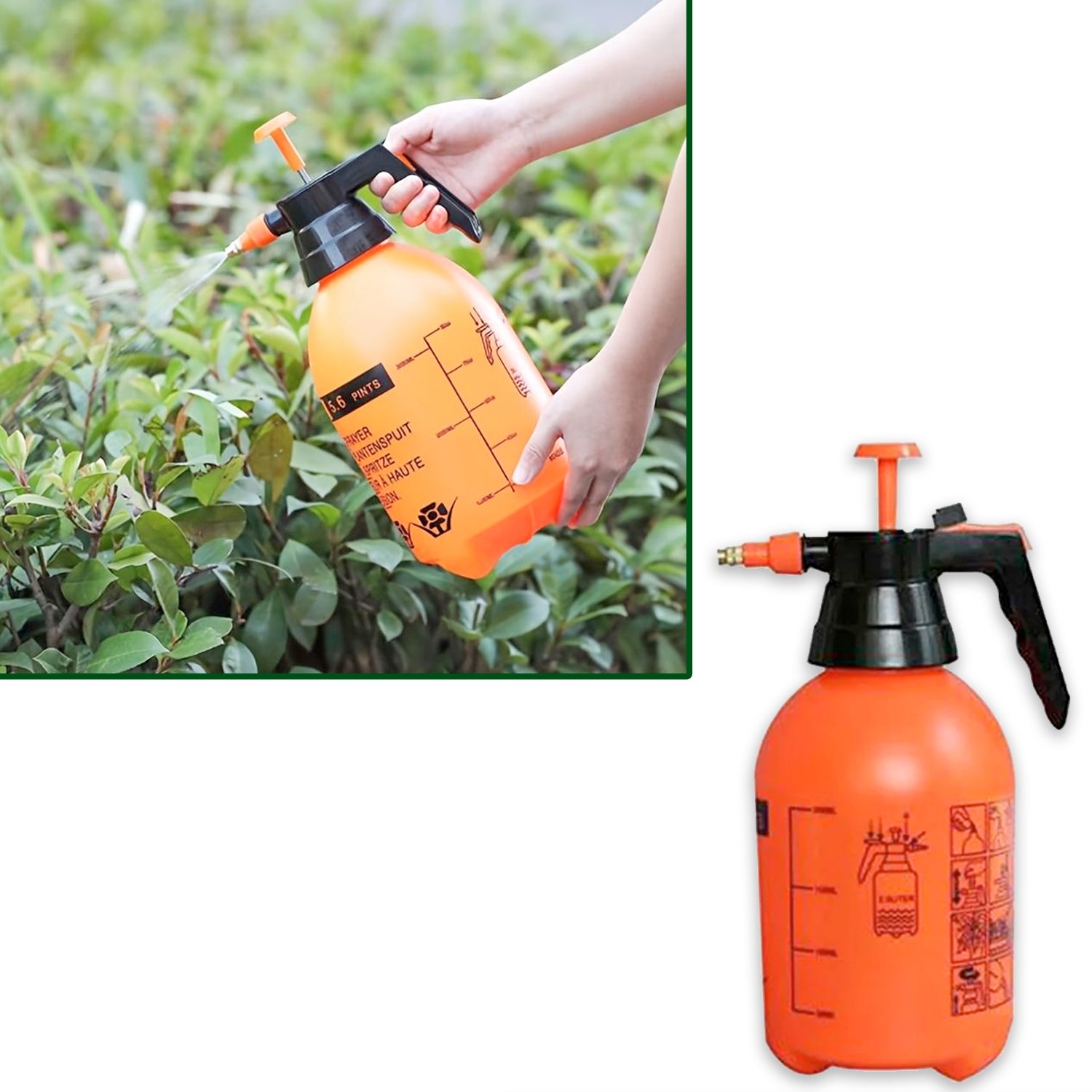 0645 Water Sprayer Hand-held Pump Pressure Garden Sprayer - 2 L DeoDap